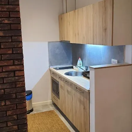 Apartament Zupa Wellness & Spa Kopaonik