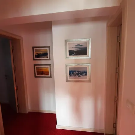 Zupa Wellness & Spa Apartament Kopaonik